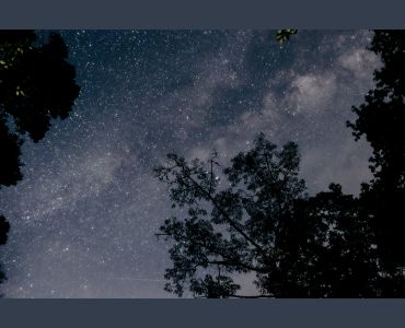 PASSEGGIATA SOTTO LE STELLE