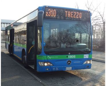DEVIAZIONE TEMPORANEA DEL TRASPORTO PUBBLICO AUTOLINEA Z310  DAL 29 LUGLIO 2026 AL 7 AGOSTO 2026
