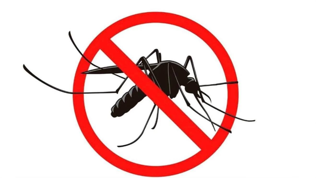 VIRUS DENGUE: INTERVENTO STRAORDINARIO DI DISINFESTAZIONE NELLE AREE LIMITROFE A VIA DELLA FONDA 12
